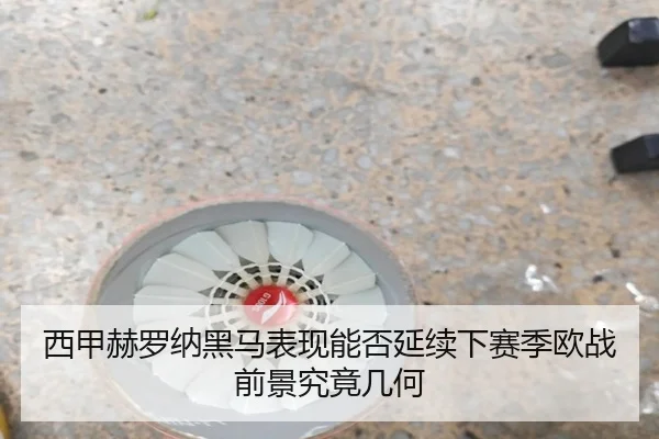 西甲赫罗纳黑马表现能否延续下赛季欧战前景究竟几何